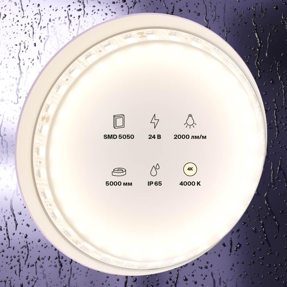 фото светодиодная влагозащищенная лента maytoni technical 21w/m дневной белый 5m 20026 | 220svet.ru