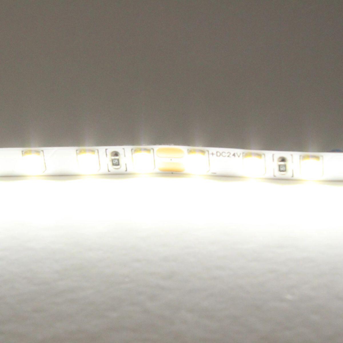 фото светодиодная лента холодный lightstar 12w/m 120led/m 5m 420505 | 220svet.ru