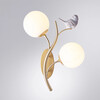 Миниатюра фото бра arte lamp camomilla a9712ap-2sg | 220svet.ru