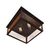 Миниатюра фото потолочный светильник loft it modern filament loft3110-2c | 220svet.ru