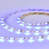 Миниатюра фото светодиодная лента smd5050 - 17.28w/m rgb+4000k 300lm ra>90 ip20 l5000xw10xh- 24v st luce st5019.418.20rgbw | 220svet.ru