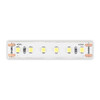 Миниатюра фото светодиодная лента 14,4вт/м 4000к 6600lm ip65 l5000xw12 24в  st luce st5001.414.65 | 220svet.ru