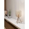 Миниатюра фото настольная лампа eglo romazzina 900521 | 220svet.ru