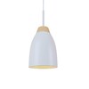 Миниатюра фото подвесной светильник loft it restor loft4402a-wh | 220svet.ru