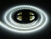 Миниатюра фото светодиодная лента холодный белый ambrella light 19,2w/m 240led/m 2835smd 6500к 5m gs1503 | 220svet.ru