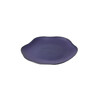 Миниатюра фото тарелка roomers tableware l9004-7447u | 220svet.ru