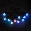 Миниатюра фото светодиодная гирлянда призма 5м разноцветная 24в, 10 led, провод черный пвх, ip54 ltc bll10p-11-1m | 220svet.ru