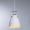 Миниатюра фото подвесной светильник arte lamp luned a2214sp-1wh | 220svet.ru
