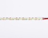 Миниатюра фото светодиодная лента холодный белый ambrella light 19,2w/m 240led/m 2835smd 6500к 5m gs1503 | 220svet.ru