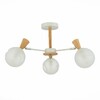 Миниатюра фото потолочная люстра evoluce catania sle220702-03 | 220svet.ru