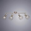 Миниатюра фото спот arte lamp sospiro a6141pl-4ab | 220svet.ru