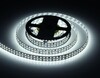Миниатюра фото светодиодная лента дневной белый ambrella light 19,2w/m 240led/m 2835smd 6500к 5m gs1603 | 220svet.ru