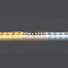Миниатюра фото светодиодная лента белого свечения mix white lightstar 20w/m 168led/m белый 5m 420820 | 220svet.ru
