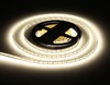 Миниатюра фото светодиодная лента дневной белый ambrella light 14,4w/m 180led/m 2835smd 4500к 5m gs1302 | 220svet.ru