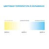Миниатюра фото светодиодная лента ogm 4,8w/m 60led/m 3528smd холодный белый 5m sl-10 | 220svet.ru