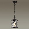 Миниатюра фото уличный подвесной светильник odeon light cuita 4963/1 | 220svet.ru