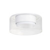 Миниатюра фото потолочный светильник arte lamp alius a8042pl-1wh | 220svet.ru