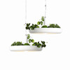 Миниатюра фото подвесной светильник inodesign plant 40.404 | 220svet.ru